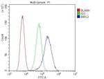 cIAP1 Antibody in Flow Cytometry (Flow)