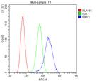 cIAP1 Antibody in Flow Cytometry (Flow)