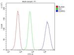 ESRRG Antibody in Flow Cytometry (Flow)