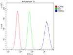 ESRRG Antibody in Flow Cytometry (Flow)