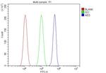 AES Antibody in Flow Cytometry (Flow)
