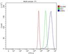 DDR2 Antibody in Flow Cytometry (Flow)