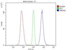 HMGN2 Antibody in Flow Cytometry (Flow)
