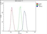 RXFP2 Antibody in Flow Cytometry (Flow)