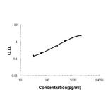 CD137 Antibody in ELISA (ELISA)