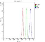 Anillin Antibody in Flow Cytometry (Flow)
