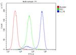 CD229 Antibody in Flow Cytometry (Flow)