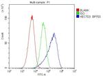HECTD3 Antibody in Flow Cytometry (Flow)