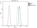 KBTBD2 Antibody in Flow Cytometry (Flow)