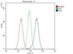 tPA Antibody in Flow Cytometry (Flow)