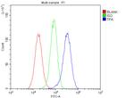 tPA Antibody in Flow Cytometry (Flow)