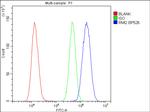 RMI2 Antibody in Flow Cytometry (Flow)