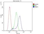 RRBP1 Antibody in Flow Cytometry (Flow)