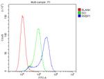 RRBP1 Antibody in Flow Cytometry (Flow)
