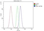 SFRP1 Antibody in Flow Cytometry (Flow)