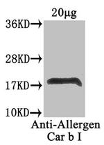 Pollen Allergen Polyclonal Antibody