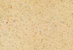 RHOA Antibody in Immunohistochemistry (Paraffin) (IHC (P))