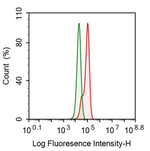 ACAT1 Antibody in Flow Cytometry (Flow)