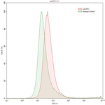 XPC Antibody in Flow Cytometry (Flow)