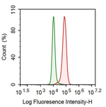 GARS Antibody in Flow Cytometry (Flow)