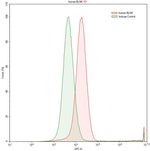 BLNK Antibody in Flow Cytometry (Flow)