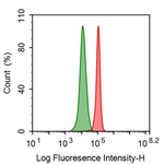 HSP701L Antibody in Flow Cytometry (Flow)