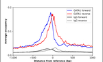 GATA1 Antibody in ChIP Assay (ChIP)
