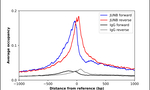 JunB Antibody in ChIP Assay (ChIP)