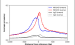LXR alpha Antibody in ChIP Assay (ChIP)