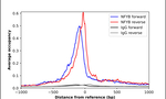 NFYB Antibody in ChIP Assay (ChIP)