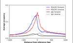POU3F2 Antibody in ChIP Assay (ChIP)