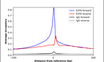 E2F6 Antibody in ChIP Assay (ChIP)
