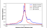 OCT1 (POU2F1) Antibody in ChIP Assay (ChIP)