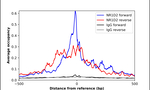 NR1D2 Antibody in ChIP Assay (ChIP)