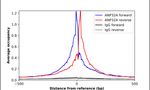 PHAP I Antibody in ChIP Assay (ChIP)