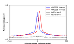 BRAF35 Antibody in ChIP Assay (ChIP)