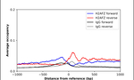 Histone H2A.Z Antibody in ChIP Assay (ChIP)