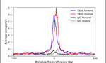 TBX6 Antibody in ChIP Assay (ChIP)
