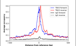 TBX3 Antibody in ChIP Assay (ChIP)