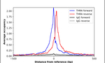 THRA Antibody in ChIP Assay (ChIP)