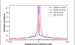 TEAD4 Antibody in ChIP Assay (ChIP)