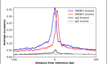 SREBP1 Antibody in ChIP Assay (ChIP)
