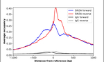 SIN3A Antibody in ChIP Assay (ChIP)