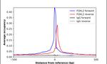 FOXL2 Antibody in ChIP Assay (ChIP)