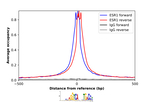 Estrogen Receptor alpha Antibody in ChIP Assay (ChIP)