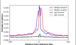 NFkB p50 Antibody in ChIP Assay (ChIP)
