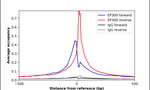 p300 Antibody in ChIP Assay (ChIP)