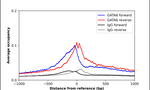 GATA6 Antibody in ChIP Assay (ChIP)