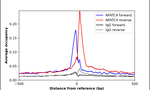 NFATC4 Antibody in ChIP Assay (ChIP)
