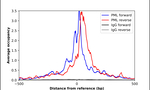 PML Antibody in ChIP Assay (ChIP)